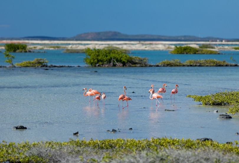 Bonaire