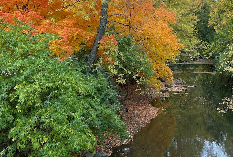 Parque do Lago de Cristal