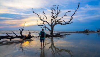 Driftwood Beach