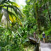 Things to Do on the Big Island, Hawaii