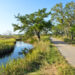 Things to do in Jekyll Island, Georgia