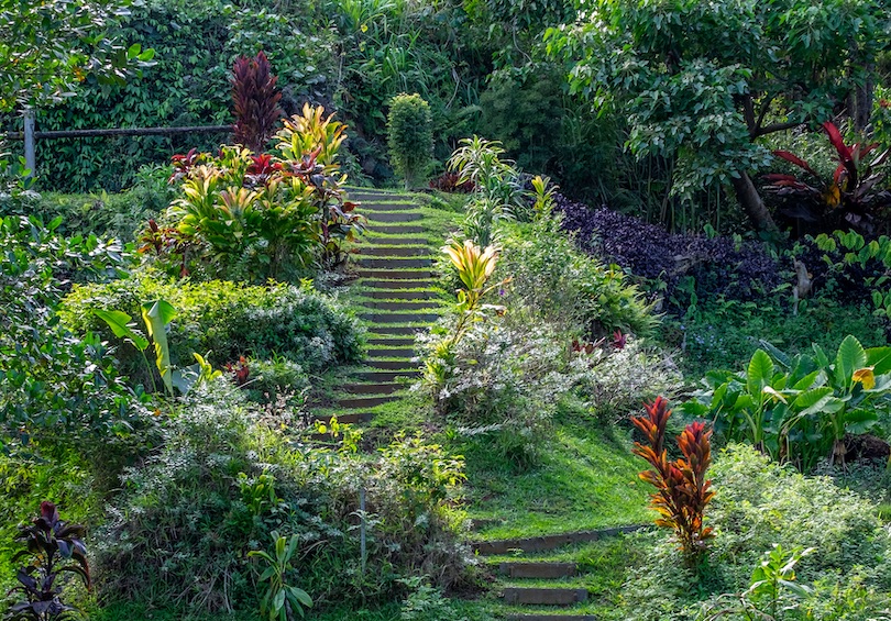 Princeville Botanical Gardens