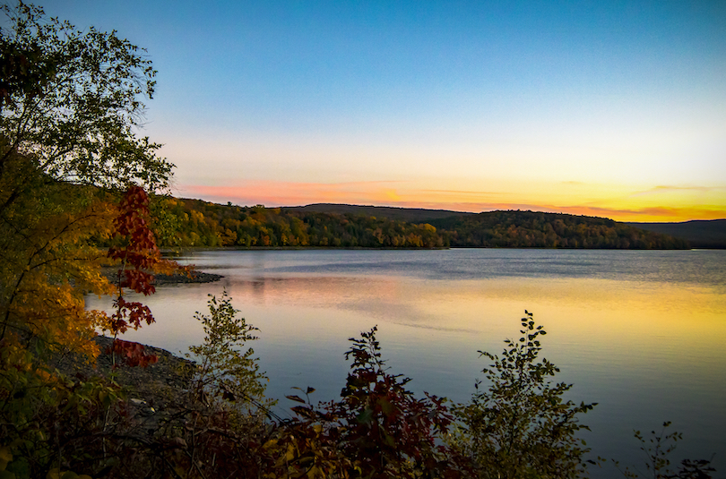 Scranton Lake Walking Path