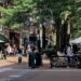 Best Cities in Virginia to Live and Visit