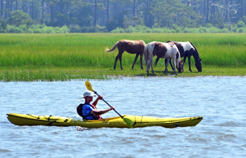 Chincoteague National Wildlife Refuge