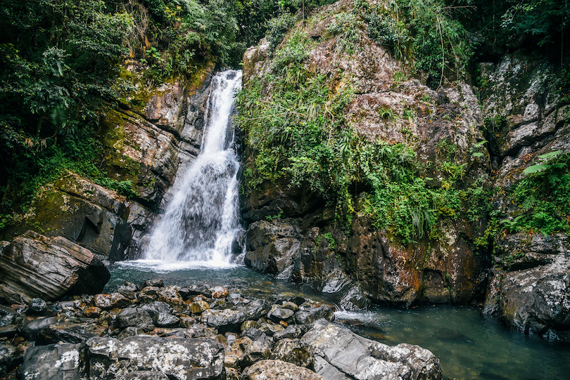 Floresta Nacional El Yunque