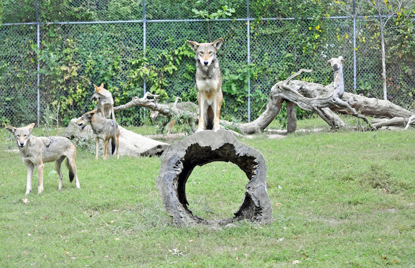 Miller Park Zoo