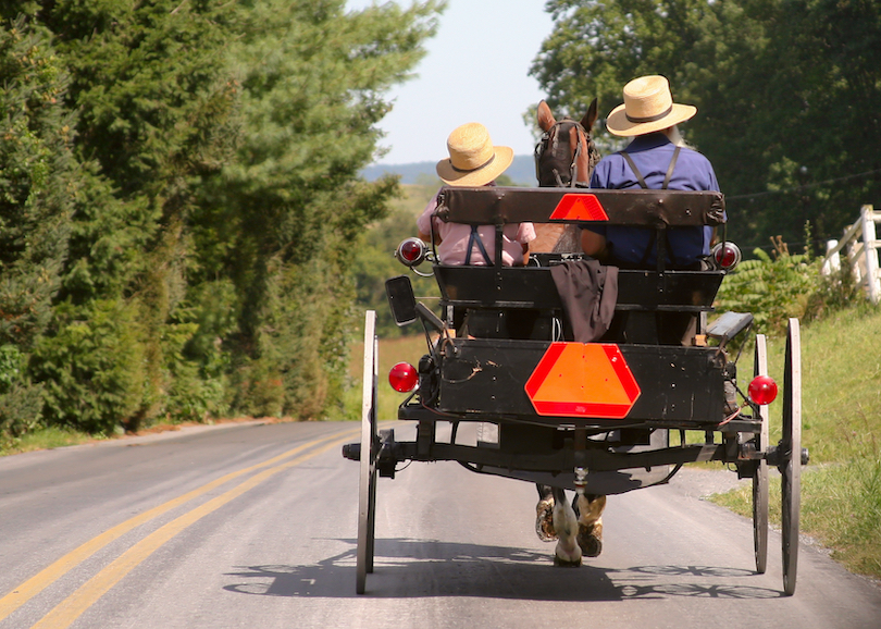 The Amish Farm and House