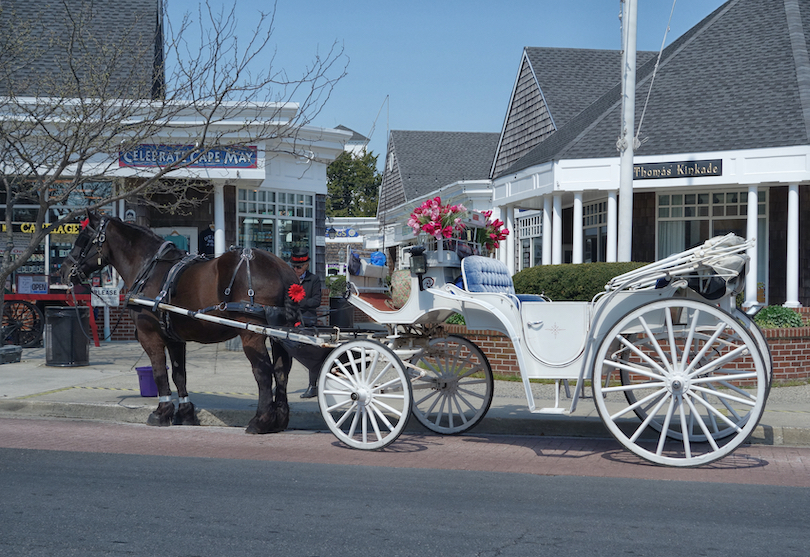 Cape May Carriage