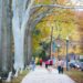 Things to Do in Huntington, WV