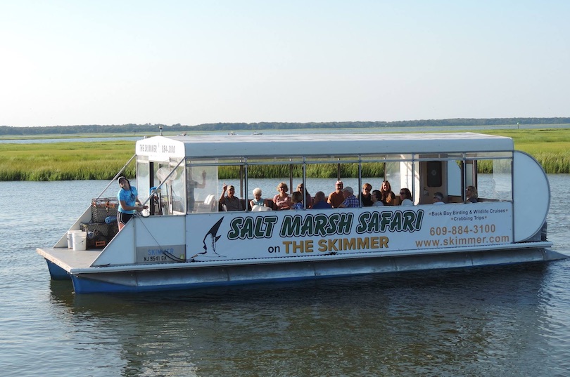 Salt Marsh Safari on the Skimmer