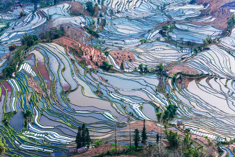 Honghe Hani Rice Terraces