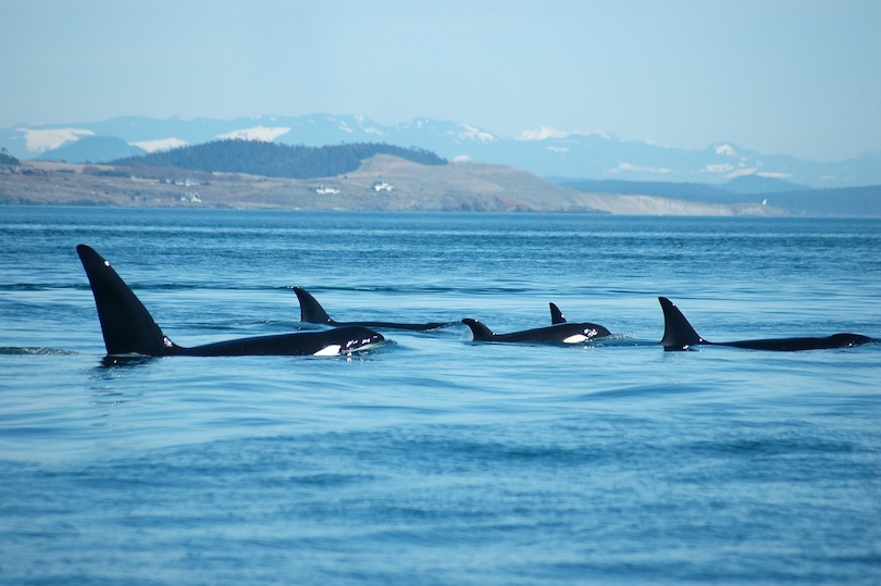 San Juan Islands