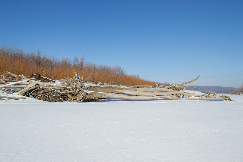 Seven Mile Creek Park