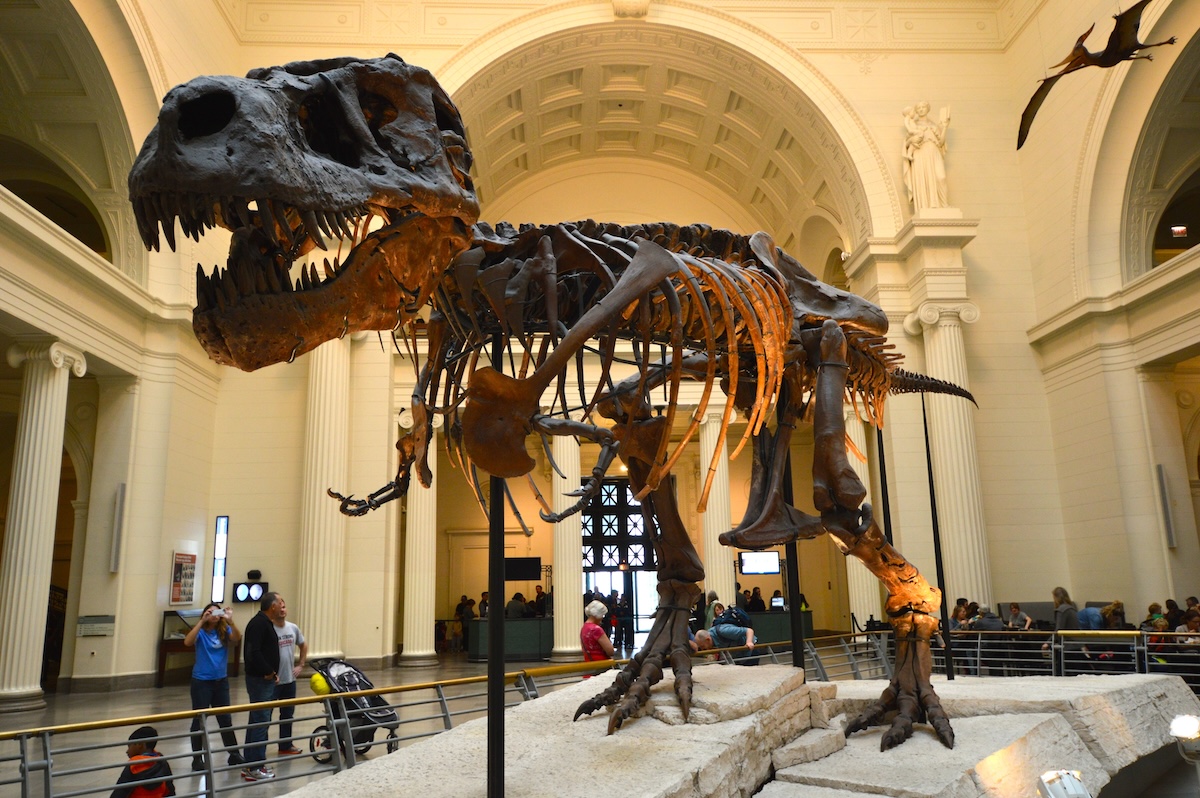 Field Museum of Natural History