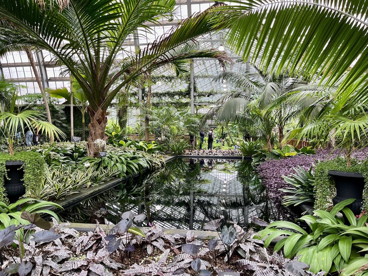 Garfield Park Conservatory