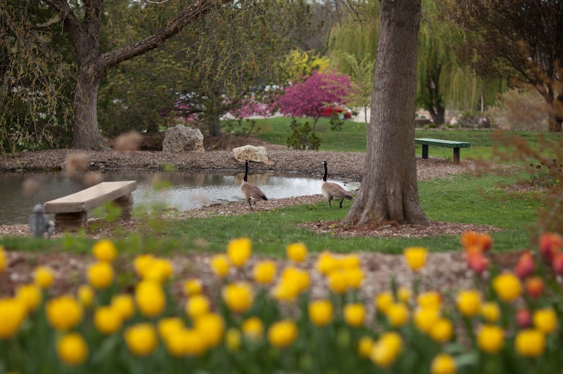 Ted Ensley Gardens