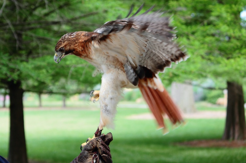 Topeka Zoo