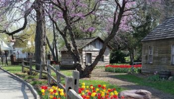 Ward-Meade Park