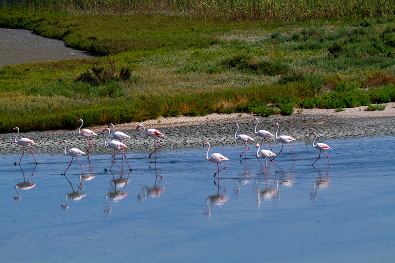 Parco del Delta del Po