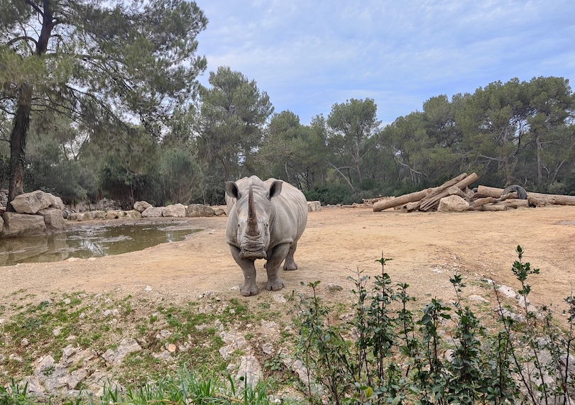 Montpellier Zoo