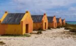 Best Things to Do in Bonaire