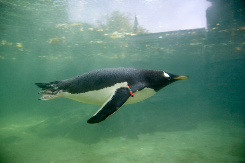 Bergen Aquarium