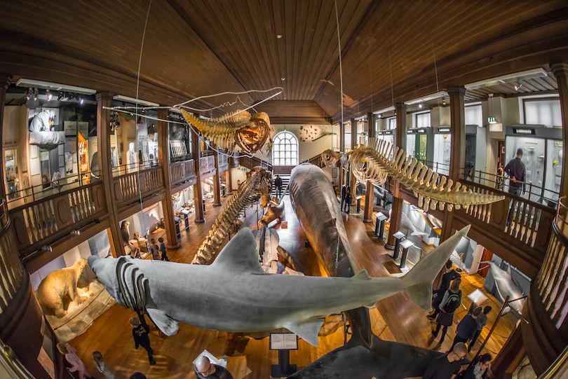 Natural History Museum