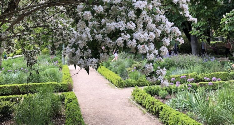 El Retiro Park, Madrid