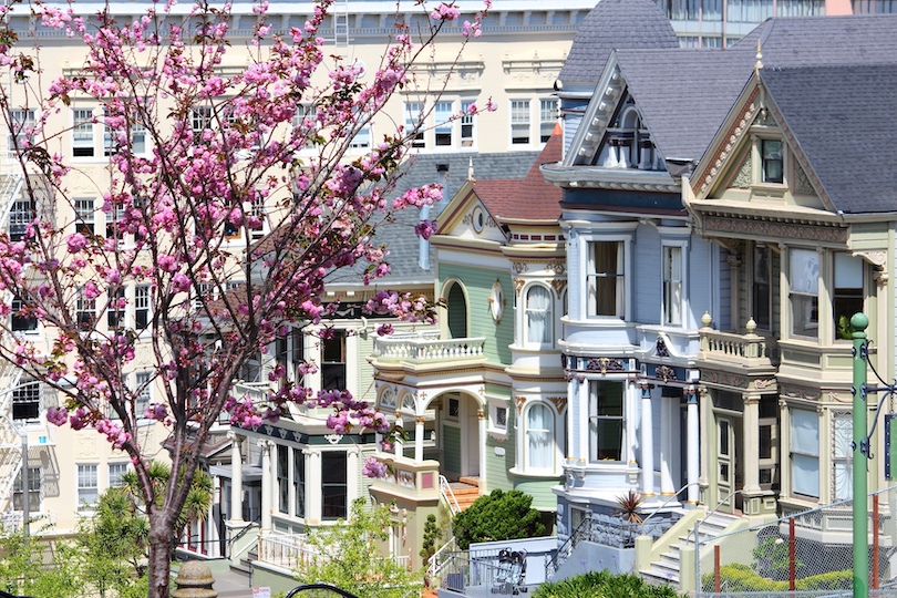 San Francisco Spring