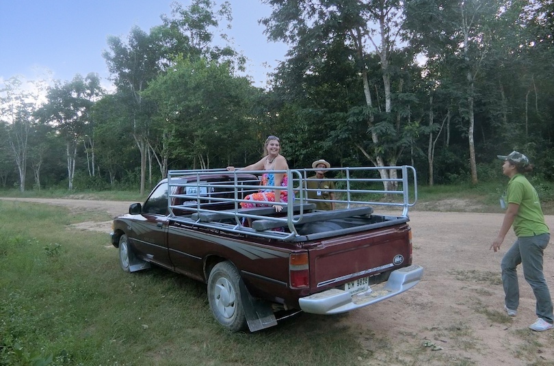 Pickup Truck
