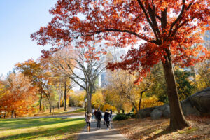 Best Time to Visit New York
