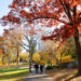 Best Time to Visit New York