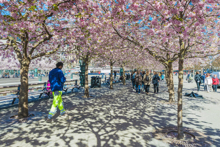 Sweden In April The Best Time to Visit Stockholm for Perfect Weather and Sightseeing ...