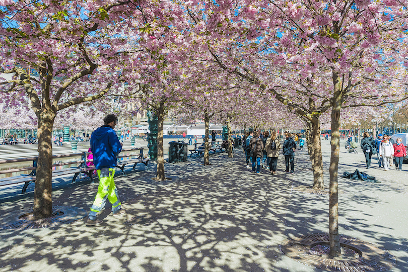 Stockholm Spring