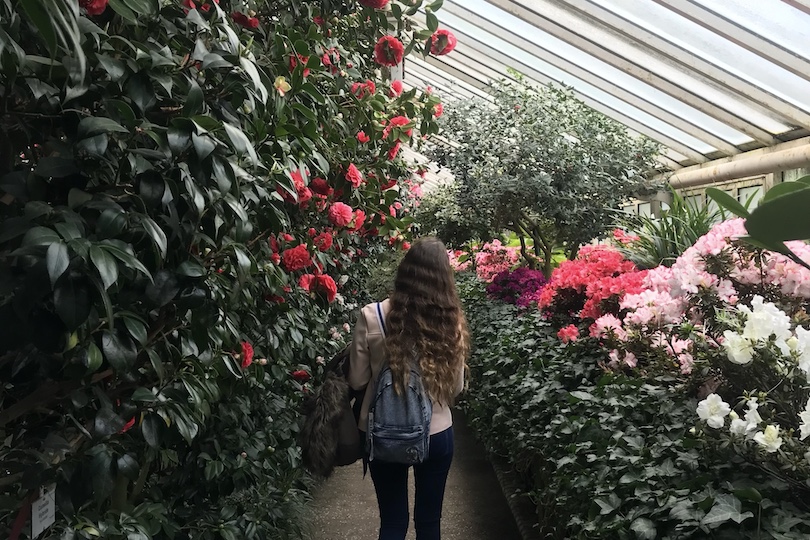 Berlin Botanical Gardens