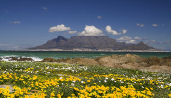 Best Time to Visit Cape Town