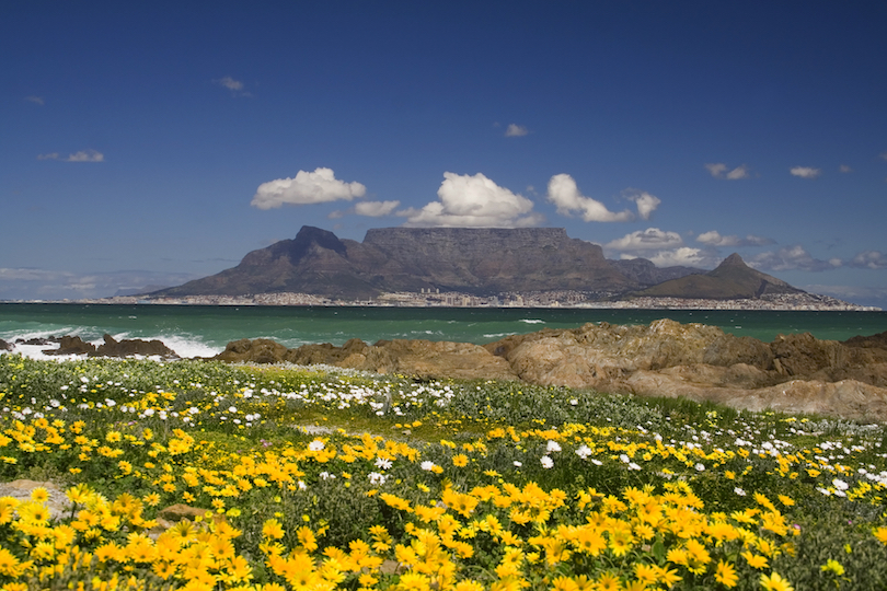 Cape Town Spring