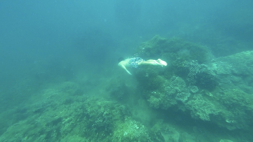 Snorkeling