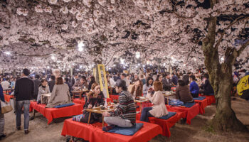 Best Time to Visit Kyoto