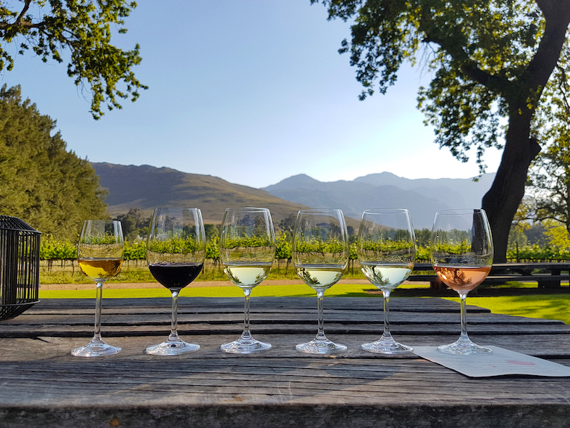 The 6 Top Wines in South Africa and Where To Try Them