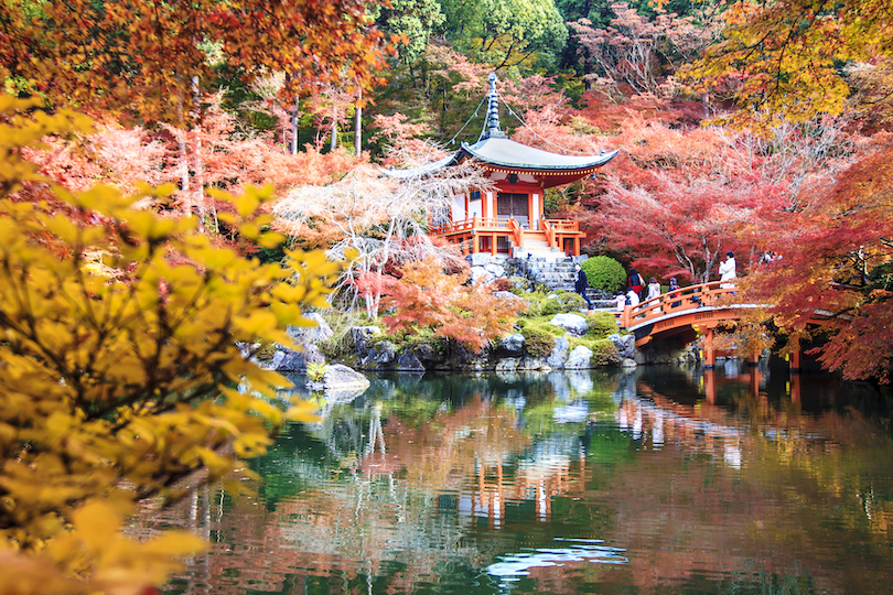 Kyoto in November