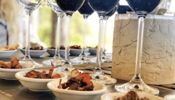 Top Wines in South Africa