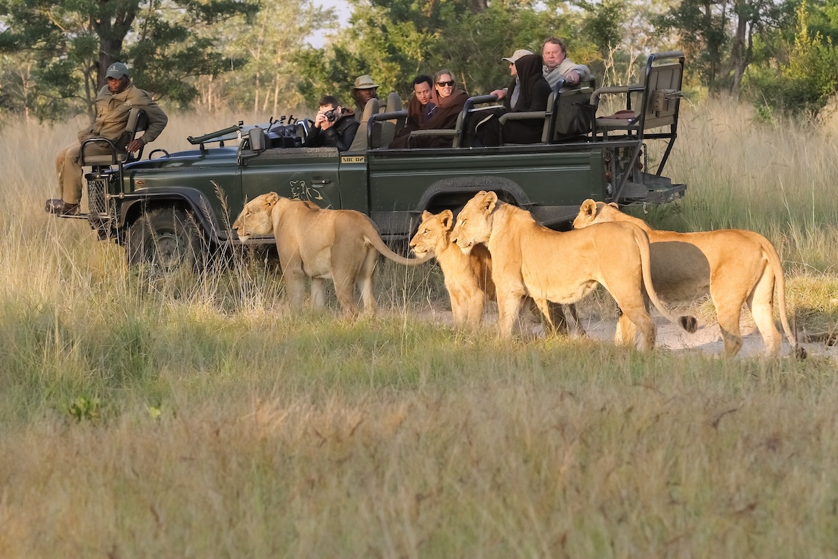 private game drive
