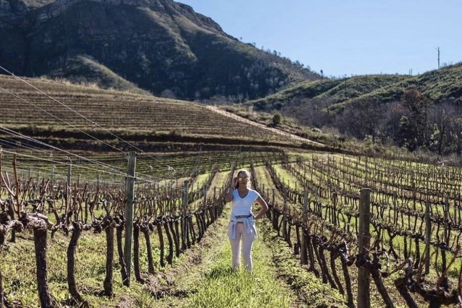 in the Cape Winelands