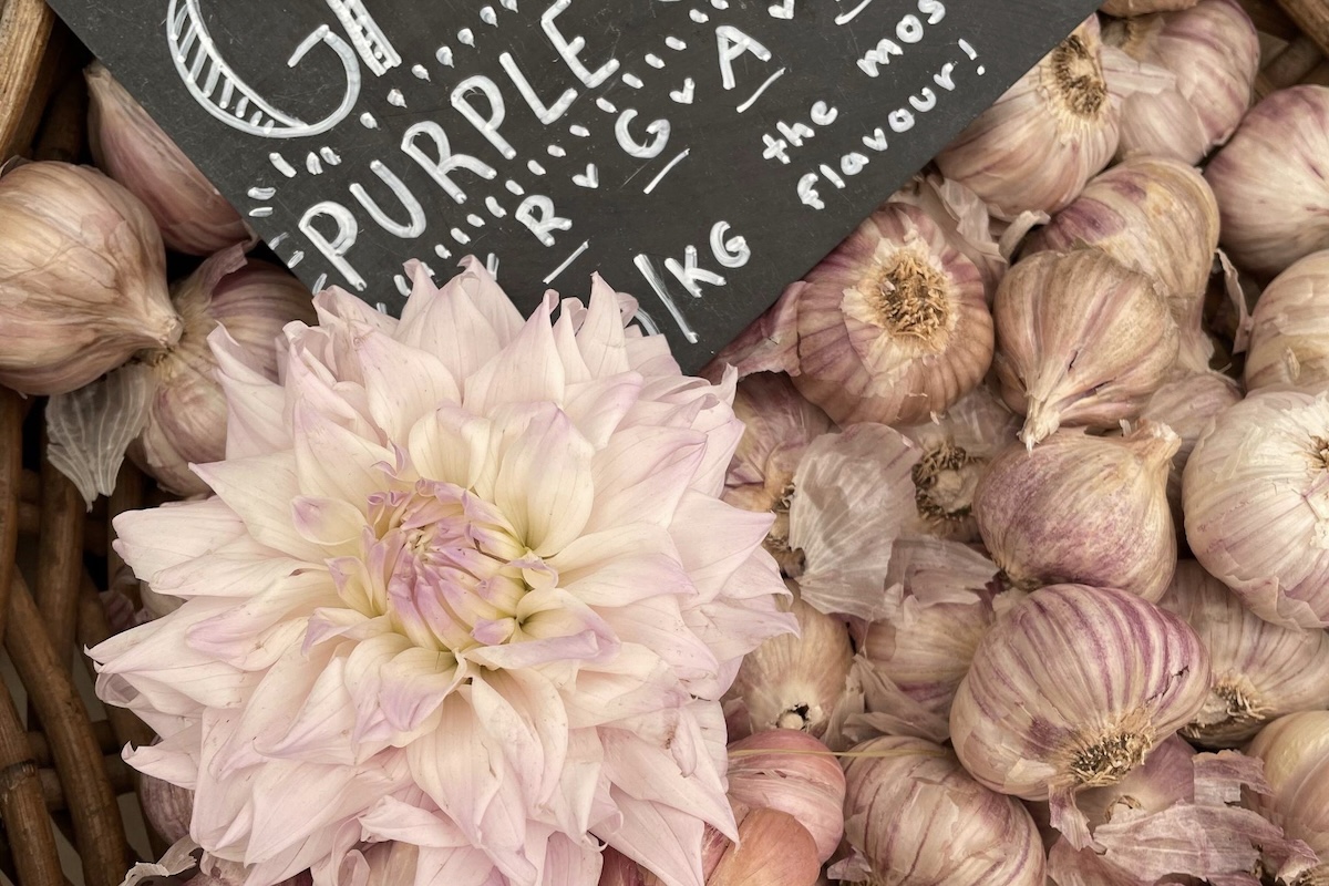 Oranjezicht City Farm Market