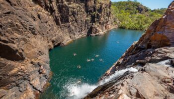 Barramundi falls