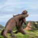 Komodo Dragons are fighting