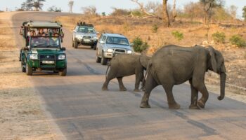 Kruger National Park