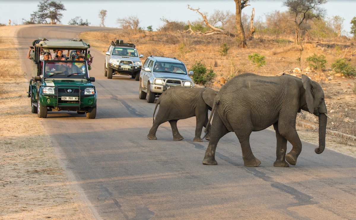 Kruger National Park